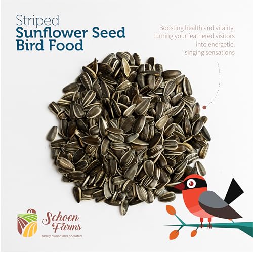 Schoen Farms Striped Sunflower Seeds – Hulled Wild Bird Food – 3 lb Bag – Clean, No-Mess Bird Seed for Finches - view 4