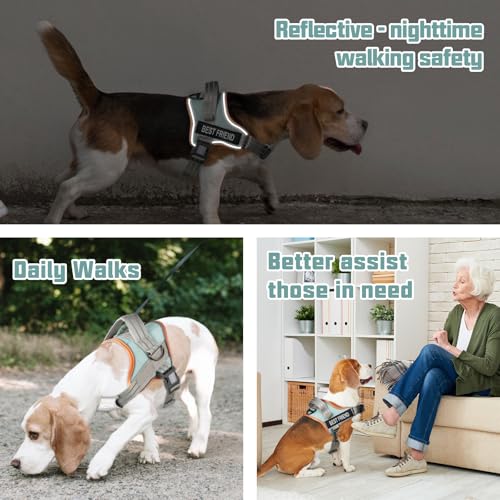 AUROTH Dog Harness and Leash Set, Soft Padded Service Dog Vest with 5.25FT Dog Leash, No Choke, Easy On Pet Ve - view 3