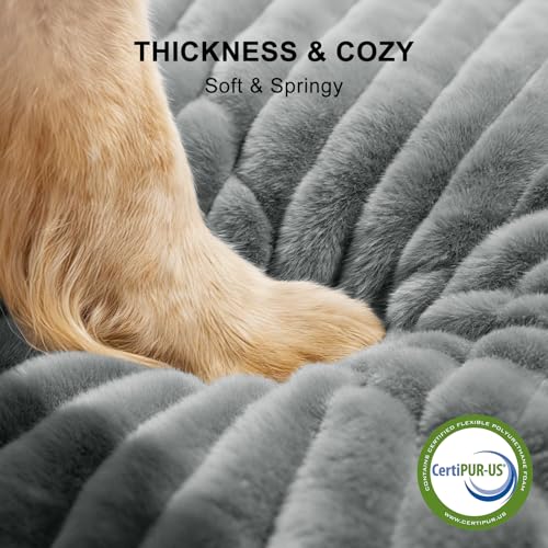 FURTIME Dog Bed for Small Dogs, Washable Orthopedic Dog Bed with Removable Cover, Rectangle Soft Calming Sleep - view 4