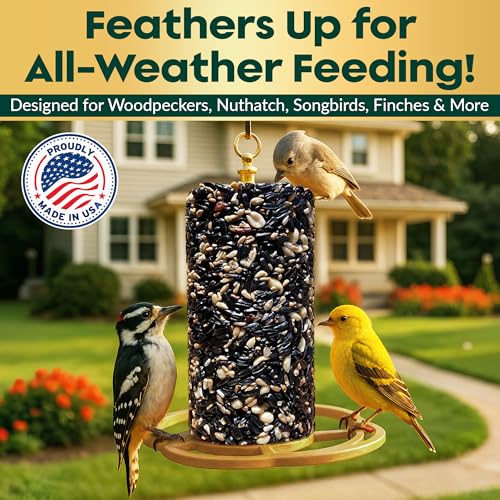 All Year Round Bird Seed Cylinders with Hole – All Season Wild Bird Food for Blue Jays, Cardinals, Doves, Finc - view 5