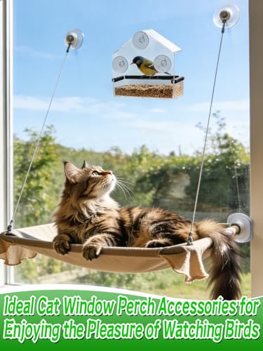 Outdoor Window Bird Feeder for Cats Viewing - Clear Bird Feeder with Strong Suction Cup, Cat Perch Accessories - view 4