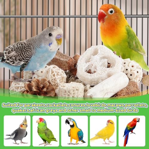 Kyouki Bird Toys Parrot Toys Natural Bird Foraging Box Foot for Parakeets,Cockatiels,Conures,Love Birds,and Ot - view 4