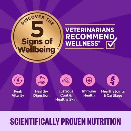 Wellness Complete Health Pate Variety Pack Kitten Canned Wet Cat Food, Natural, Protein Rich, Grain Free, Whit - view 6