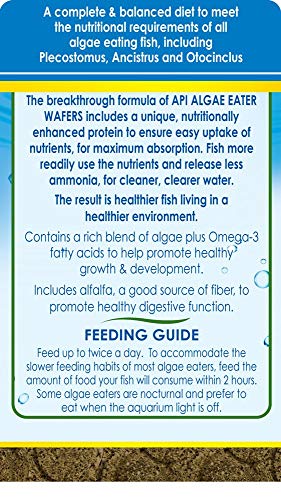 API ALGAE EATER WAFERS Algae Wafer Fish Food 6.4-Ounce Container - view 3