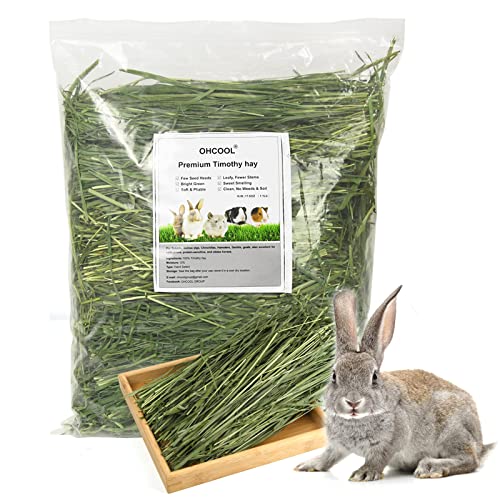 Timothy Hay 1.1LB - Dust Free Natural Green Fresh Food Hay for Rabbits Tortoise Guinea Pig Chinchilla - view 2