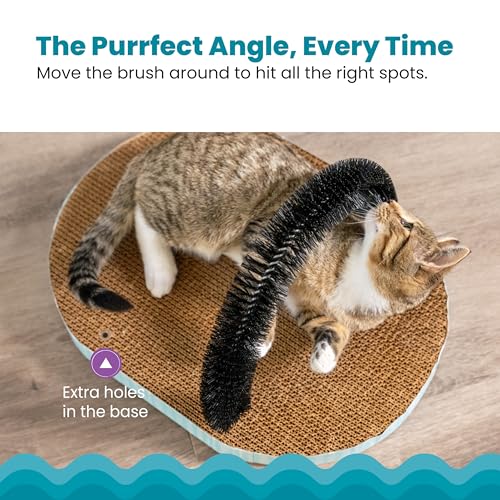 Catstages Scratch & Groom Cat Scratcher with Removable Curved Brush for Self-Grooming Station, Orange - view 5