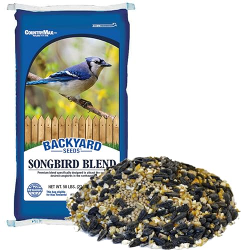 CountryMax Backyard Seeds Songbird Blend Wild Bird Seed – 50 lb Bag – Premium Mix with Sunflower Seeds, Safflo - view 2