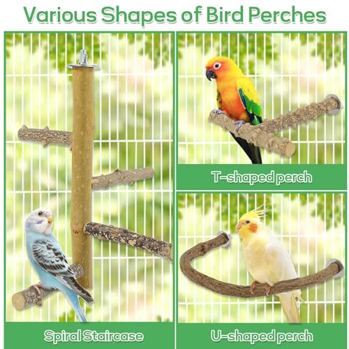 7PCS Natural Wood Bird Perches for Cage, Bird Parrot Parakeet Perch Stand, Bird Parakeet Cage Accessories, for - view 4