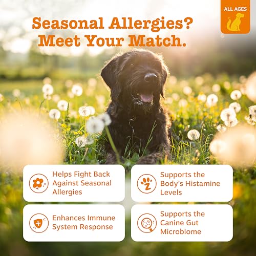 Zesty Paws Allergy Immune Bites - Dog Allergy Chews, Dog Probiotics for Itchy Skin and Ears, Peanut Butter, 90 - view 3
