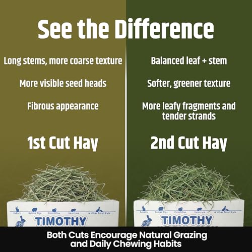 High Desert 2nd Cutting Timothy Hay for Rabbits, Guinea Pigs, Chinchillas and Small Pets, Soft Leafy for Daily - view 4