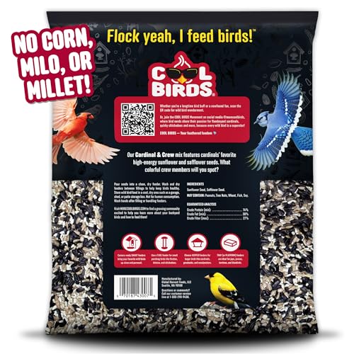 Cardinal & Crew Wild Bird Seed – 10 lb. Black Oil Sunflower, Sunflower Hearts & Safflower Blend for Cardinals, - view 3