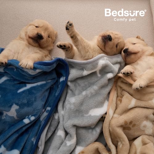 Bedsure 3-Pack Dog Blanket, Ultra-Soft Flannel Fleece Puppy Blanket with Cute Dog Prints, Machine Washable Pet - view 3