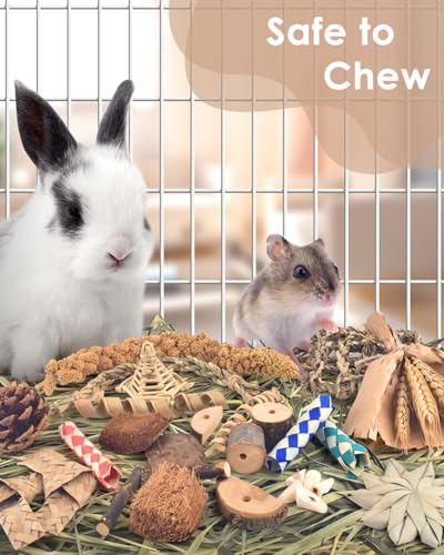 Bissap Rabbit Chew Toy, Natural Bunny Treats Snacks with Timothy Hay Water Grass Mat Coconut Husk Box for Guin - view 4