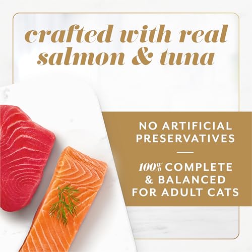 Fancy Feast Gems Pate Cat Food Mousse Salmon or Tuna and a Halo of Savory Gravy Wet Cat Food Variety Pack - (1 - view 4