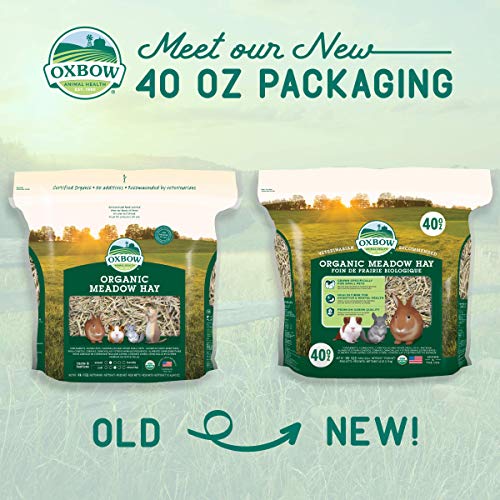 Oxbow Organic Meadow Hay, Guinea Pig & Rabbit Hay, Small Pet Bunny Supplies, All Natural Grass for Guinea Pig, - view 4