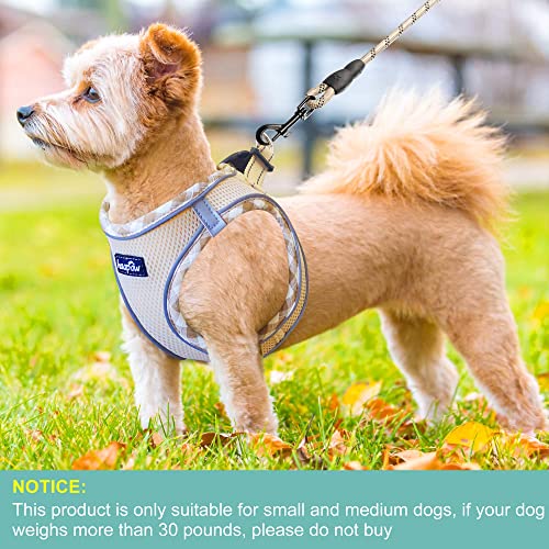 haapaw Dog Harness with Leash Set, No Pull Adjustable Reflective Step-in Puppy Harness with Thickened Padded V - view 5