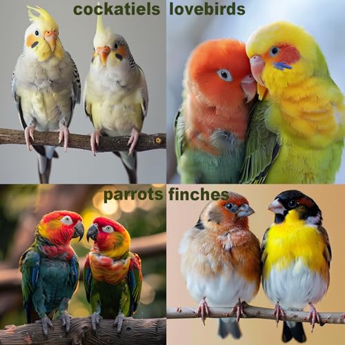 Bird Toys for Parakeets 7Pcs, Wood Parrots Budgie Cage Accessories, Bird Perch Swings for Small Conure Cockati - view 8