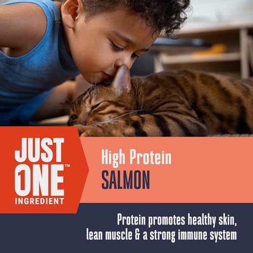 Whole Life Cat Just One Salmon Freeze Dried Cat Treats - Human Grade High Protein Food, Healthy Training Snack - view 5