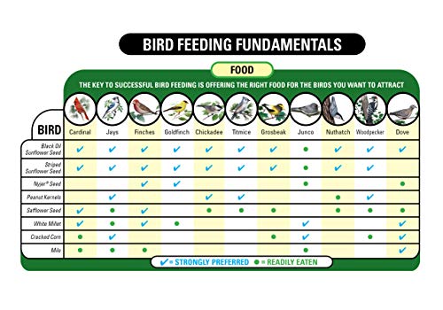 Wagner's 62053 Nyjer Seed Wild Bird Food, 20-Pound Bag - view 5