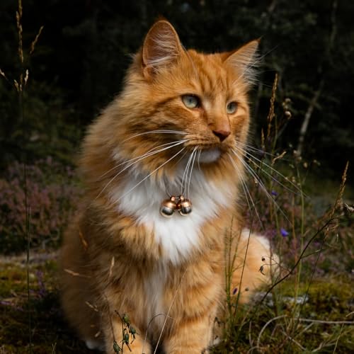 Beau's Bells 2 Extra Loud Cat & Dog Bells | Pet Tracker | Save Birds & Wildlife | Luxury Handmade Copper (Smal - view 4