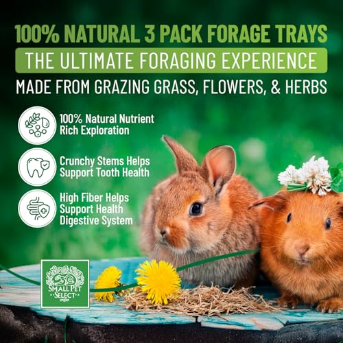 Small Pet Select Forage Tray Bundle, 3 Pack of Foraging Trays for Rabbit, Guinea Pig, Hamster or Bunny - Natur - view 3