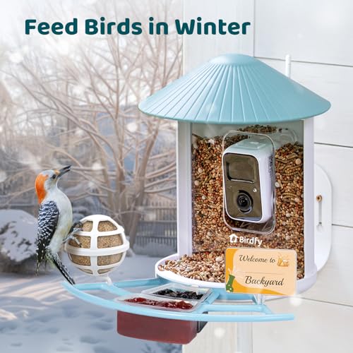 NETVUE by Birdfy Pro Perch - Wider Extension Perch to DIY Add-ons Including Suet Ball, Mini Hummingbird Feeder - view 5
