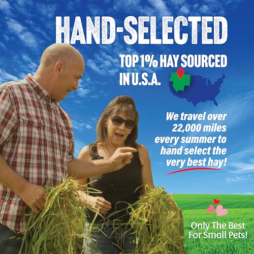 Small Pet Select 3rd Cutting Super Soft Timothy Hay Pet Food for Picky Eaters, Rabbits, Guinea Pigs, and Other - view 3