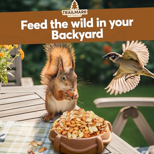 11 LB - Raw Shelled Peanuts for Squirrels, Out of Shell Peanuts for Birds and Wildlife- Squirrel Food, Wild Bi - view 6