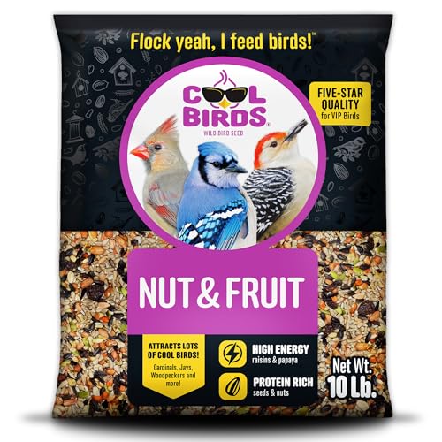 Nut & Fruit Wild Bird Seed – 10 lb. Gourmet Bird Food with Sunflower Hearts, Peanuts, Tree Nuts & Real Fruit –