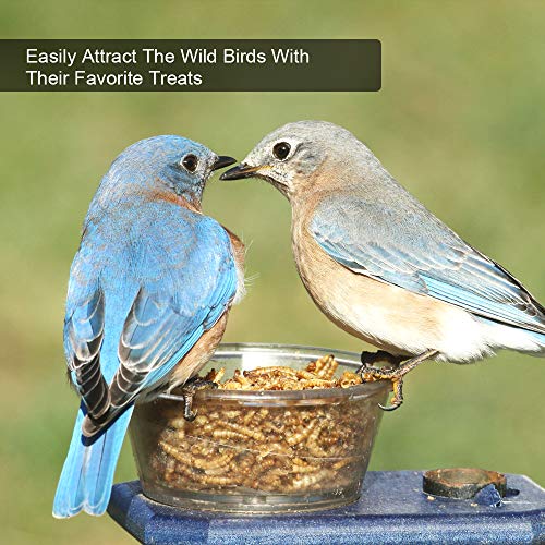 20lbs Mealworms, High-Protein Dried Mealworms for Birds, Chickens, Turtles, Fish, Hamsters and Hedgehogs, Non- - view 3