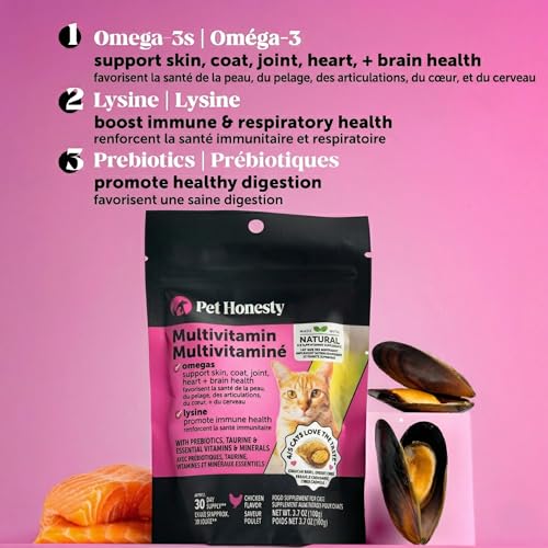 Cat Multivitamin Crunchy & Creamy Chews - Cat Treats for Health + Immune, Joint Support, Skin & Coat, & Digest - view 4