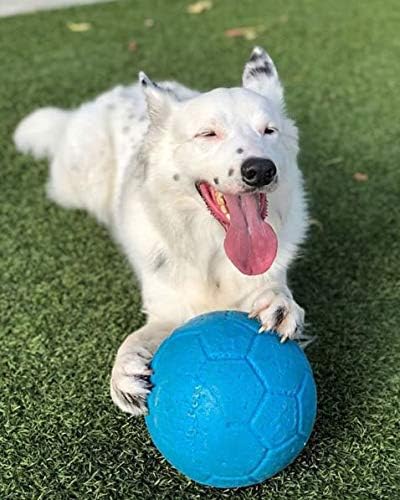 Jolly Pets Large Soccer Ball Floating-Bouncing Dog Toy, 8 inch Diameter, Ocean Blue - view 4