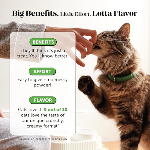 Cat Probiotics Gut + Immune Health Chews – Crunchy & Creamy Cat Treats for Digestive Health, Gut Flora & Const - view 5