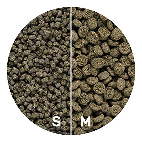 Hikari Usa Inc AHK25312 Seaweed extreme 3.52-Ounce - view 5