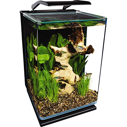 Marineland Portrait Glass LED Aquarium Kit, 5 Gallons, Hidden Filtration,Black - view 2