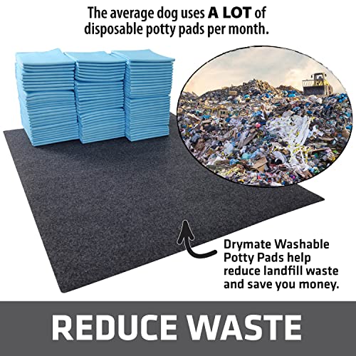 Drymate 2-Pack Washable Pee Pads for Dogs (29x36), Waterproof, Absorbent, Slip-Resistant, Reusable Pet Trainin - view 3