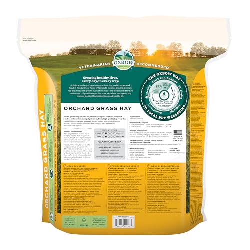 Oxbow Orchard Grass Hay for Small Pets – All-Natural Long Strand Fiber Hay for Rabbits, Guinea Pigs, Chinchill - view 3