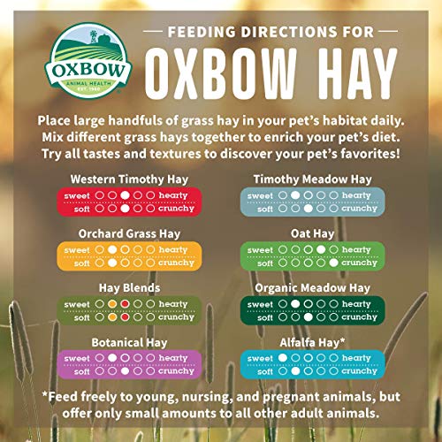 Oxbow Organic Meadow Hay, Guinea Pig & Rabbit Hay, Small Pet Bunny Supplies, All Natural Grass for Guinea Pig, - view 6