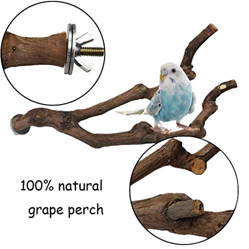 kathson Natural Parrot Perch Bird Stand Pole Wild Grape Stick Paw Grinding Fork Parakeet Climbing Standing Bra - view 3