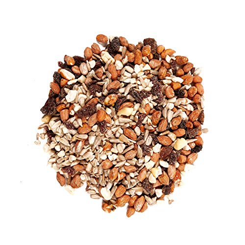 Wagner's 82072 Gourmet Nut & Fruit Wild Bird Food, 5 Pound (Pack of 1) - view 4