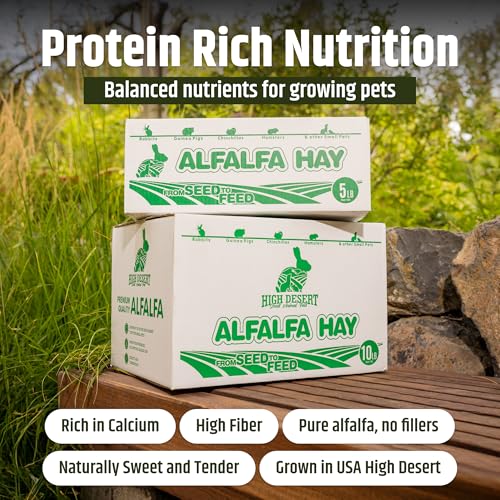High Desert Alfalfa Hay, Protein Rich Soft Leaf Food for Young Growing Animals, Natural Rabbit Food and Guinea - view 3