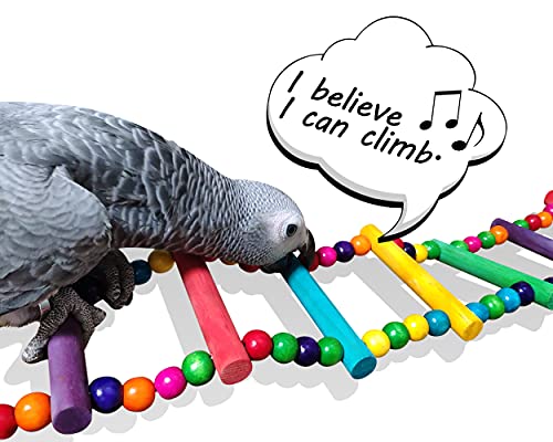 DS. DISTINCTIVE STYLE Bird Ladder Toys Coloured Flexible Parrot Swing Bridge Wooden Cockatiel Cage Hanging Cli - view 5