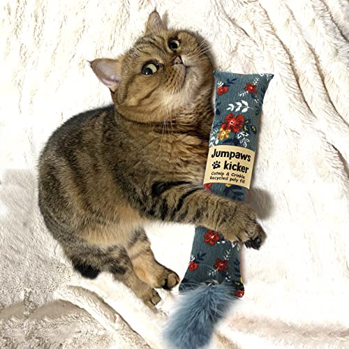 Jumpaws 2 Pack Natural Interactive Catnip & Silvervine Cat Kicker with Feathers, Bite Resistant Chew Toy, Crin - view 4