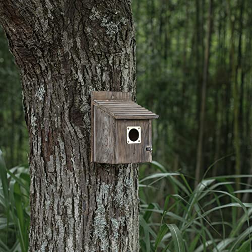 6-piece Metal Bluebird House Predator Guard，Metal Birdhouse Guard，Bird House Hole Protector Guard for Eastern  - view 4
