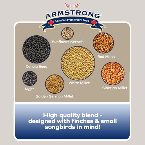 Armstrong Wild Bird Food Favourite Finch Bird Seed Blend, 15.4 Pounds - with White Millet, Canola, Nyjer and S - view 5
