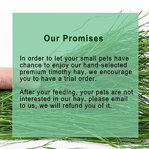 Timothy Hay 1.1LB - Dust Free Natural Green Fresh Food Hay for Rabbits Tortoise Guinea Pig Chinchilla - view 3