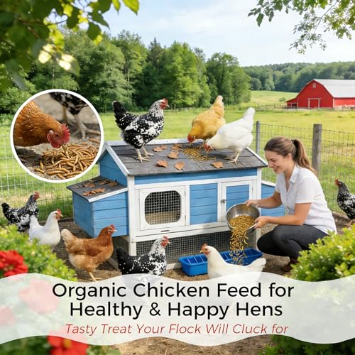 RANZ 2LBS Non-GMO Dried Mealworms for Chickens, High Protein Meal Worms, Premium Chicken Feed, Whole Large Mea - view 7