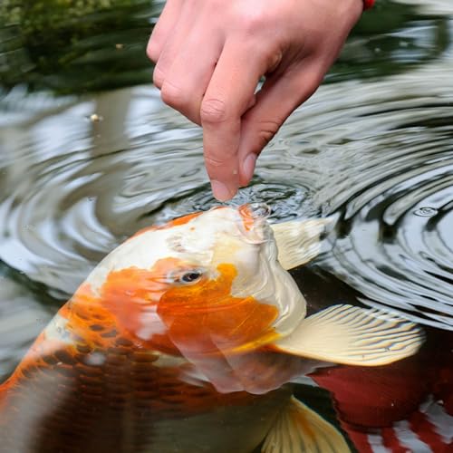 TetraPond Variety Blend Fish Food to Enhance Color and Vitality - view 5