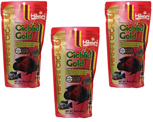 HIKARI (3 Pack) 8.8-Ounce Cichlid Gold Floating Pellets for Pets, Medium - view 2