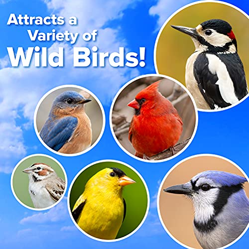 Blue Seal Suet Treat Bars for Wild Birds - No Mess Suet Feed, Food for Woodpeckers, Cardinals, Siskins, Sparro - view 3